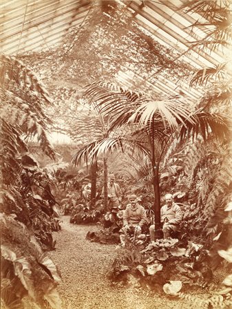Fernery_Victorian_Photo