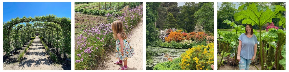 Garden summer collage - low res