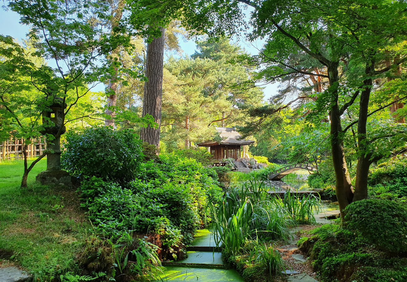 A photo of Japanese-style Garden in Summer.