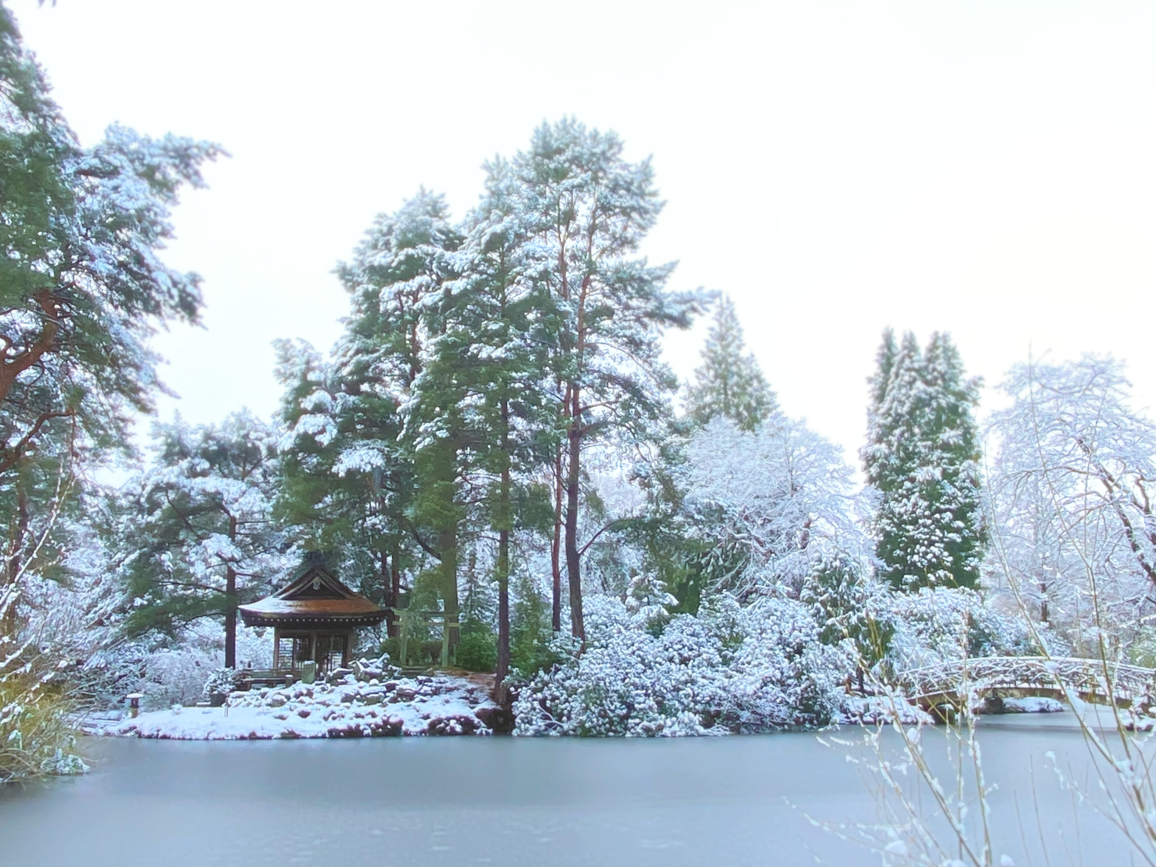 JG_Gardens_Homepage_Winter_2025