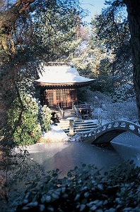 Japanese Garden winter websize1