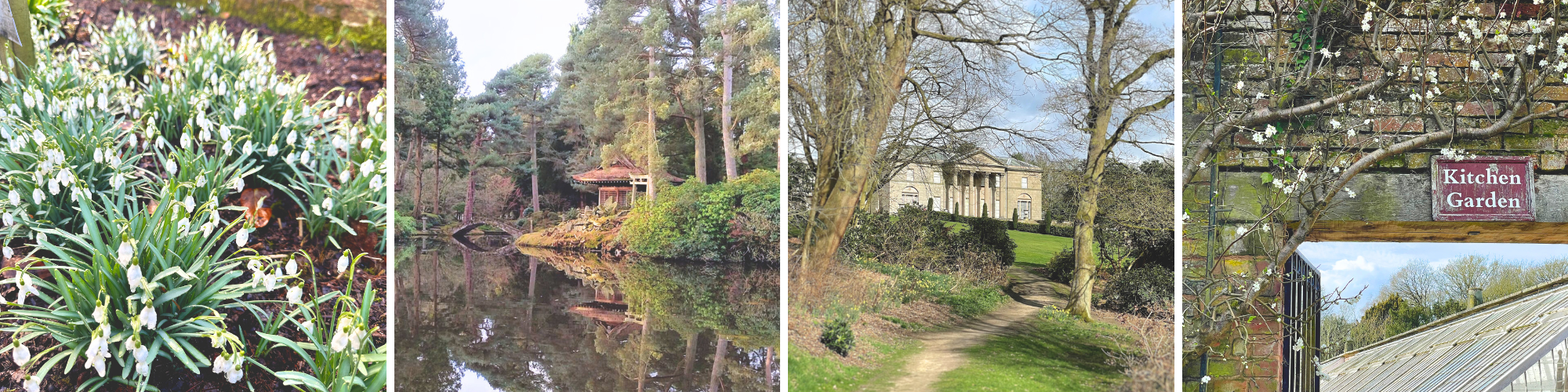 Late_Winter_Gardens_Collage_2025