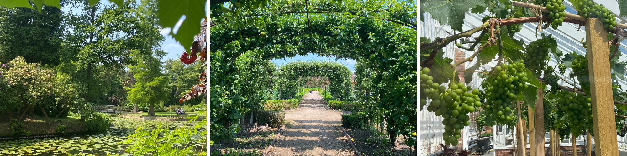 Tatton Park's Gardens in the summertime.