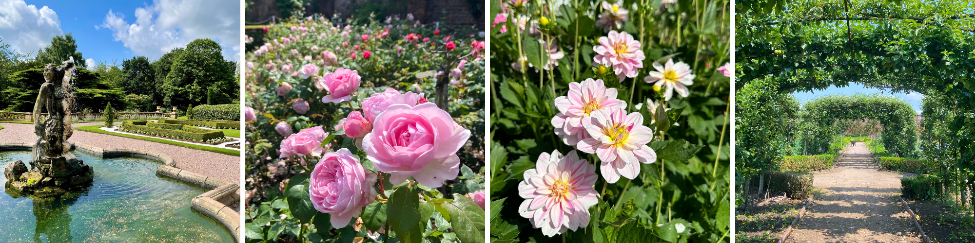 A collage of summery garden photos.