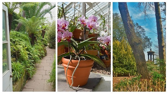 Three pic web collage Gardens spring 2