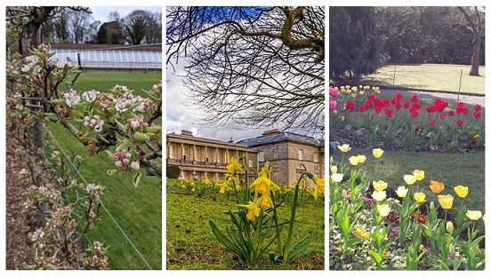 Three pic web collage Gardens spring