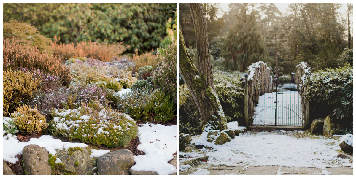winter garden web collage 1