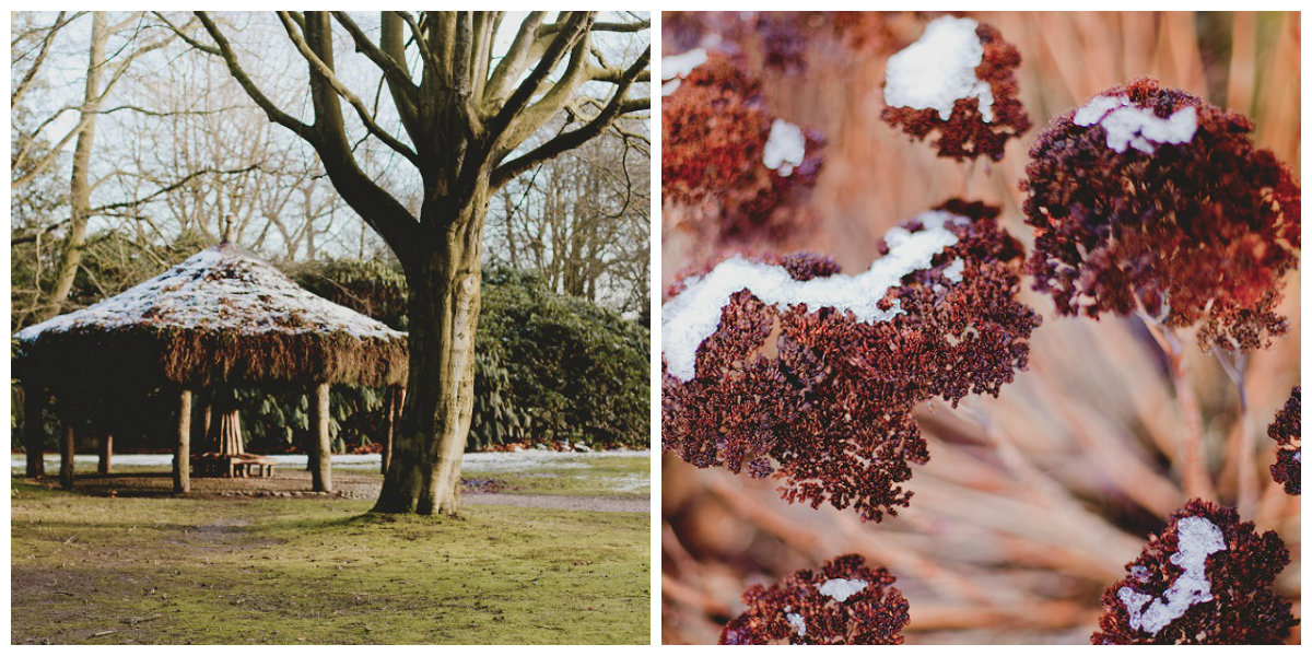 winter garden web collage 3