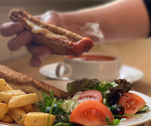 A close up image of a toasted sandwich and chips.