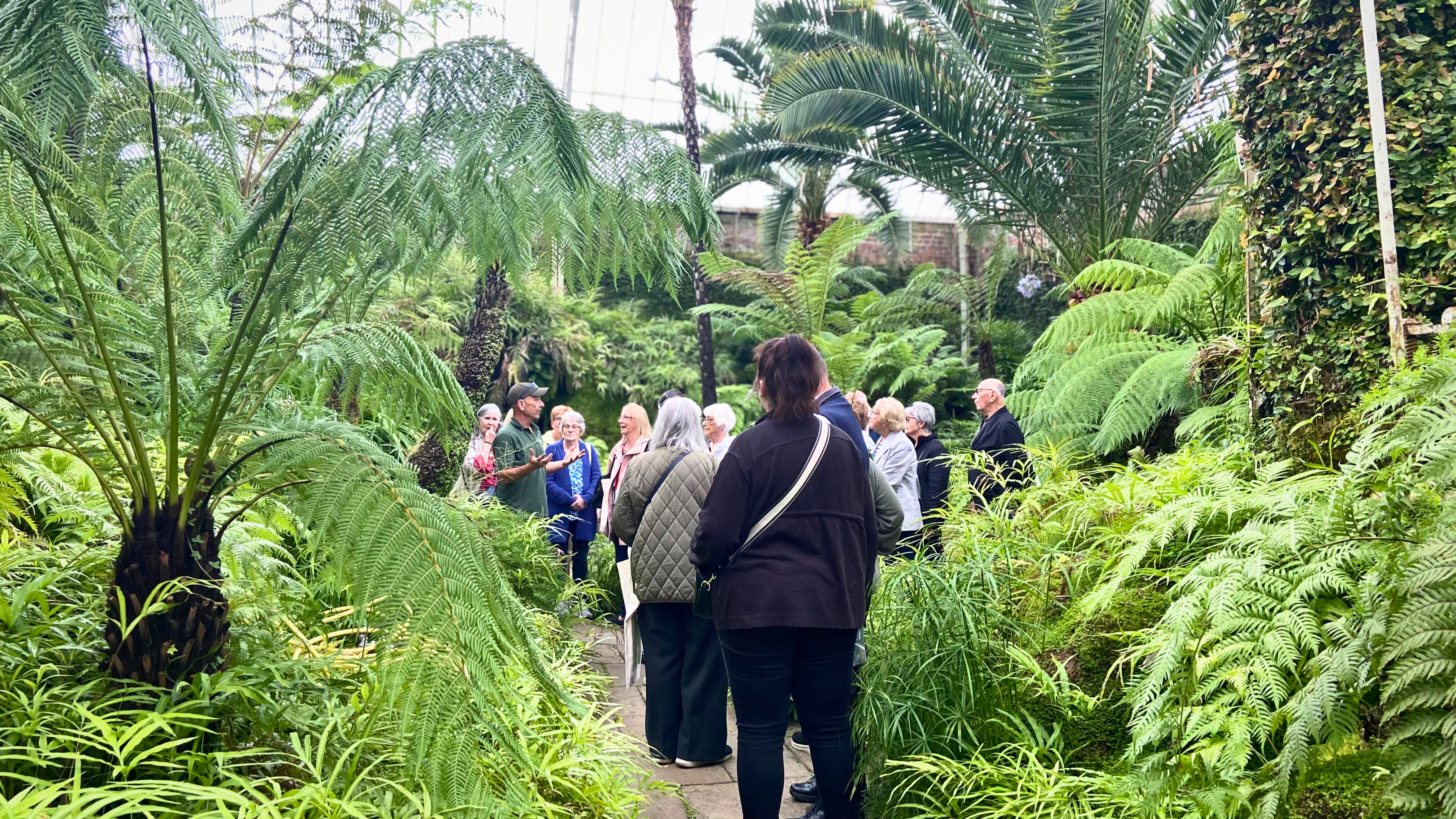 FAM Trip Fernery