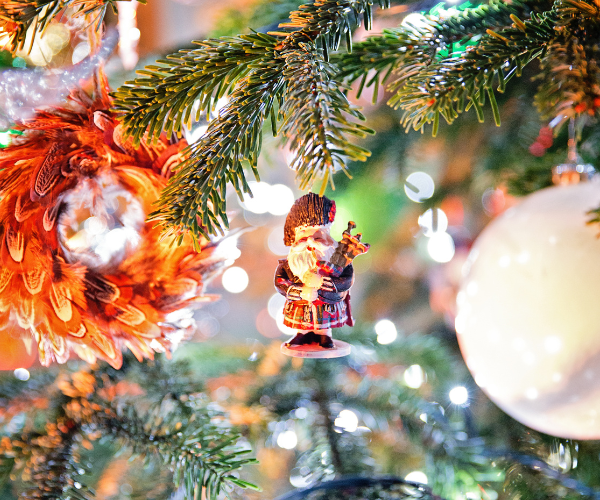 Christmas decorations hung on a tree.