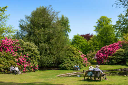 garden-empty-nesters-on-bench