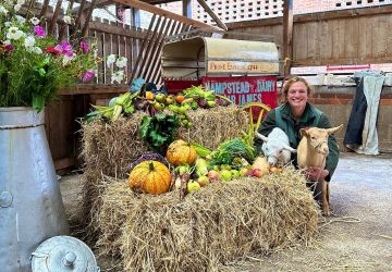 Harvest Festival 360x250