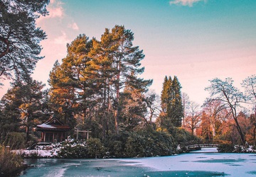 Homepage tile small 360x250px Winter Garden 2