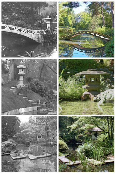 Jap Garden elements collage