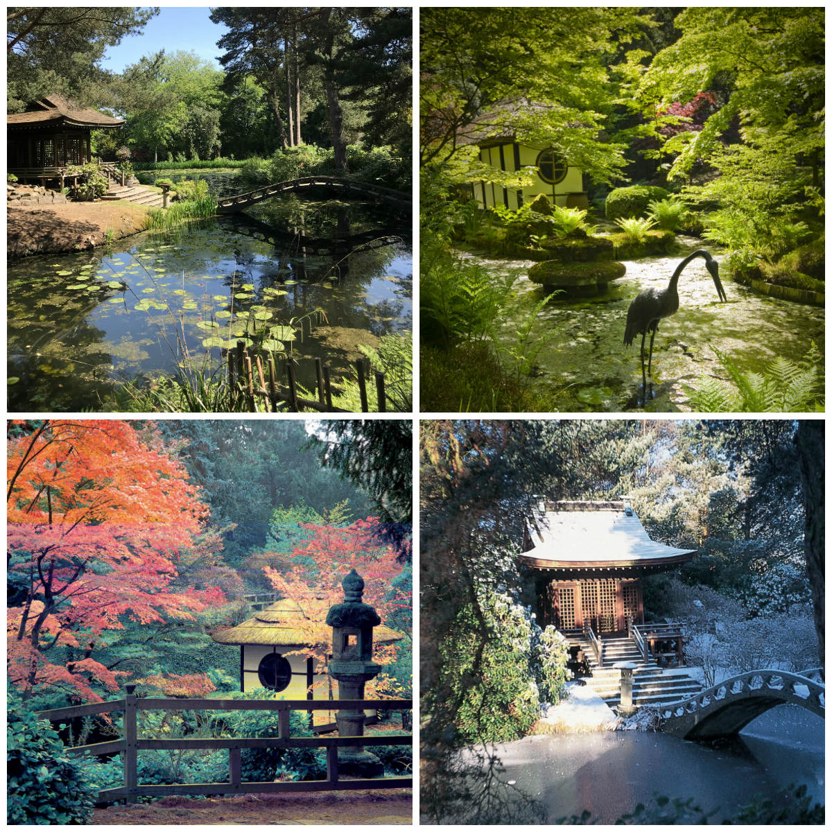 Jap Gdn seasons web collage