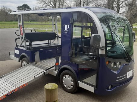 Mobility electric buggy