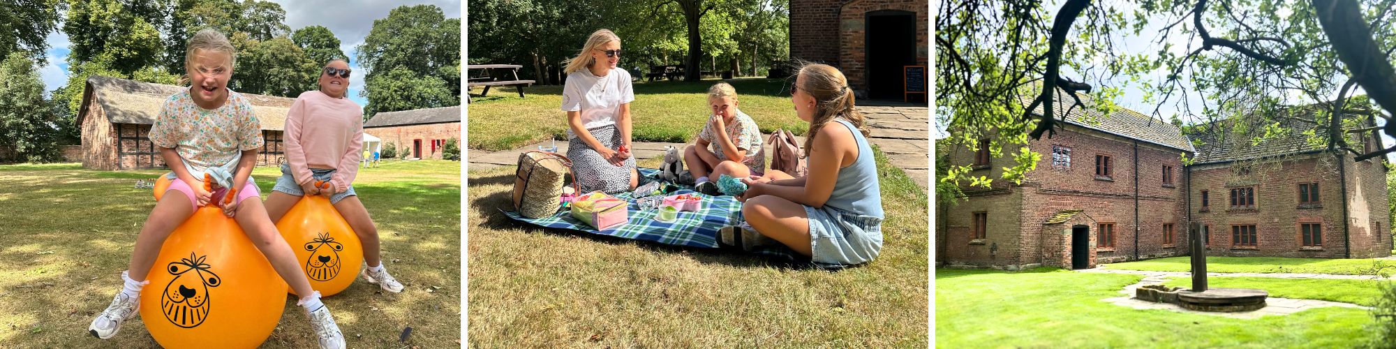 Old Hall family collage
