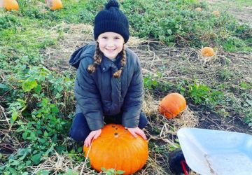 Pumpkin Patch 360 x 250