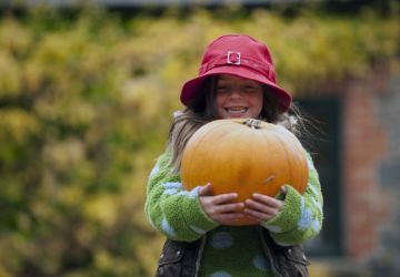 Pumpkins home