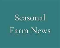 Seasonal Farm News Button