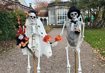 Skellies and Wellies Collage 2025
