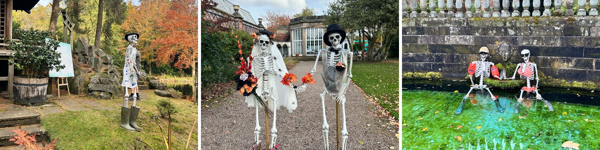 Skellies and Wellies Collage 2025