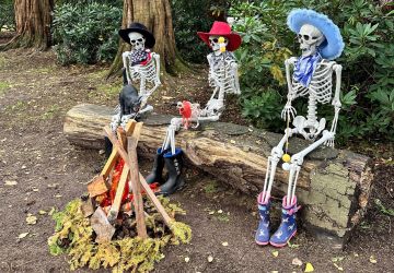 Skellies homepage