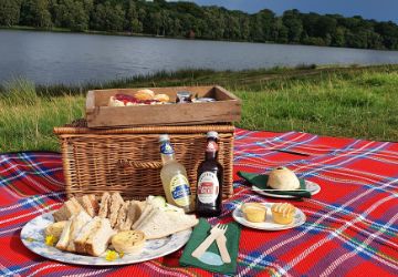 Summer picnics_main web image