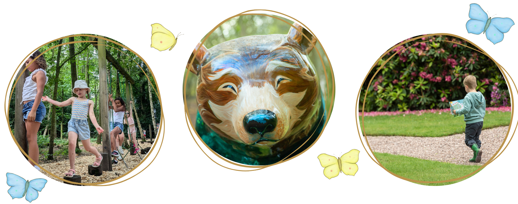 Summer Bears Collage