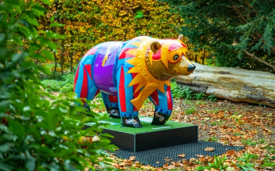 Summer Bears HP