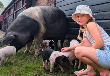 Summer Farm Adventures 555x346
