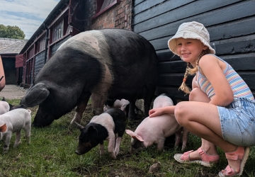 Summer Farm Adventures HP