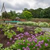 Walled Kitchen Garden web