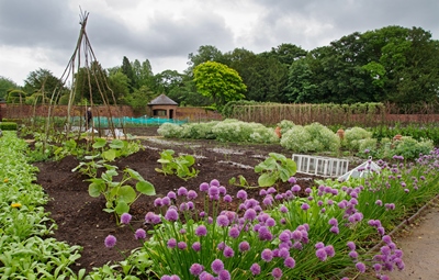 Walled Kitchen Garden web