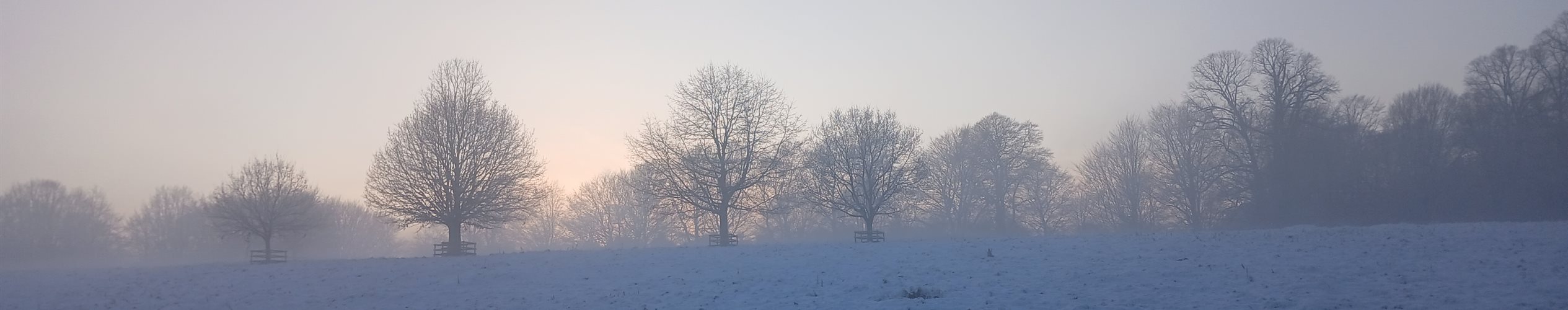 Winter Pass Header Image