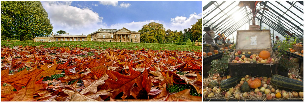 collage for autumn