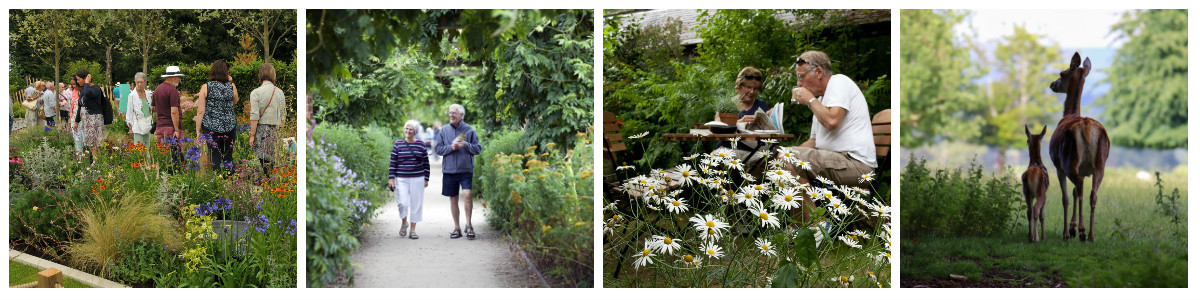 set of images displaying groups enjoying themselves at Tatton Park