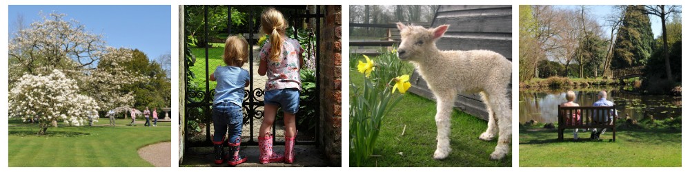 Spring collage people