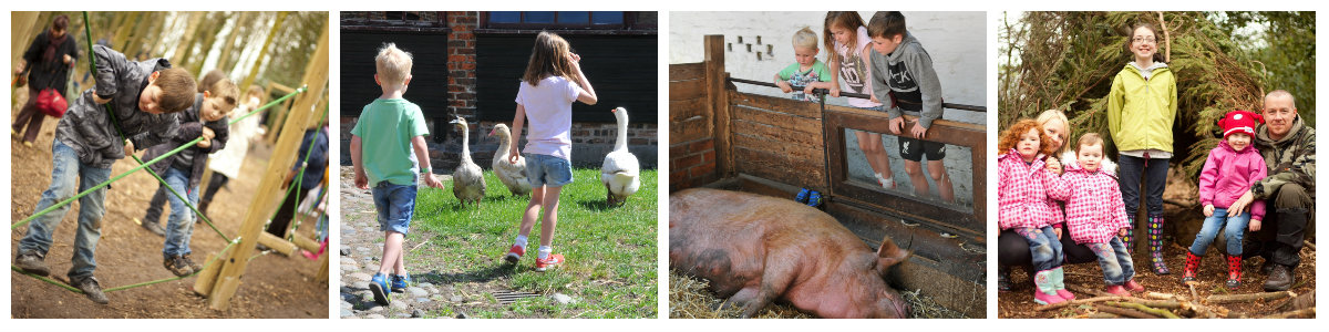 farm family fun collage