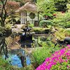 Japanese garden in the spring - George Littler