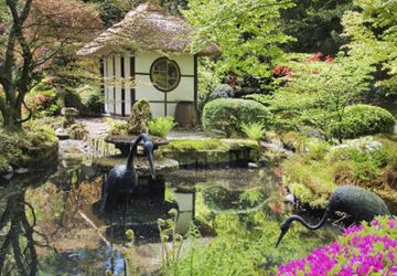 japanese-garden-in-spring-hp-image
