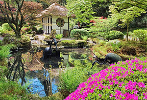 Japanese garden in the spring - George Littler