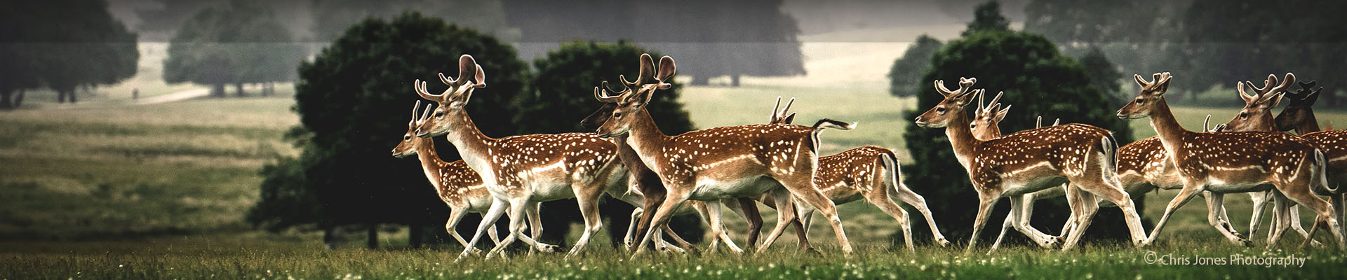 tatton-park-winter-banner-1920x400px