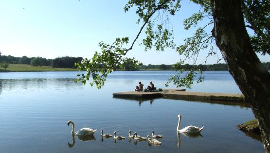 Summer parkland_555x315