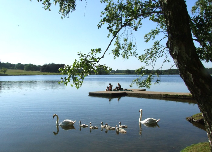 picnics in the parkland web