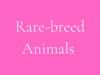 rare-breeds button tile