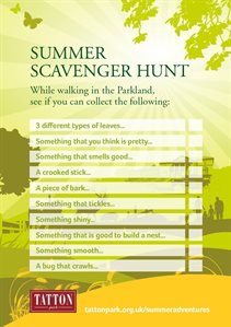 summer scavenhger jpeg