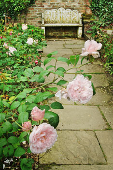 Summer in rose garden - George Littler
