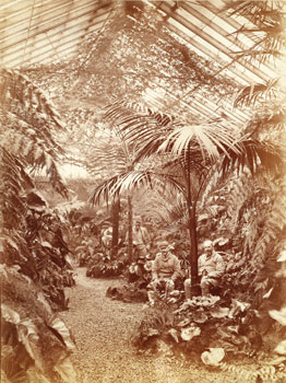 The Fernery pre 1891